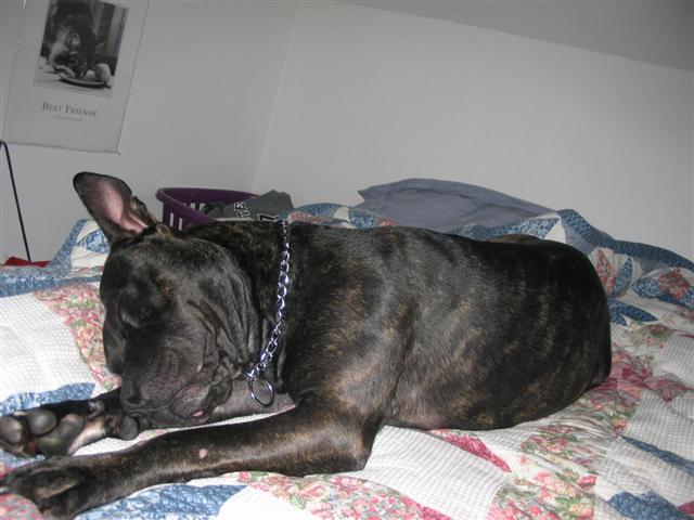 Sound asleep :-)