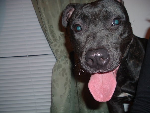 Emily's First Day Home