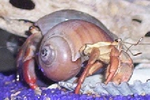 Eatin some grub