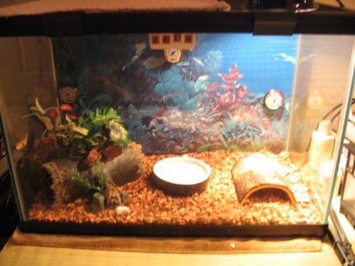 Kashmire enclosure