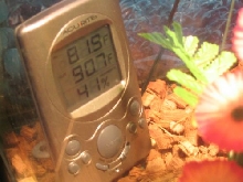 Kashmire's Acu Rite Thermometer/Hygrometer First Day