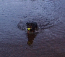 Swimming