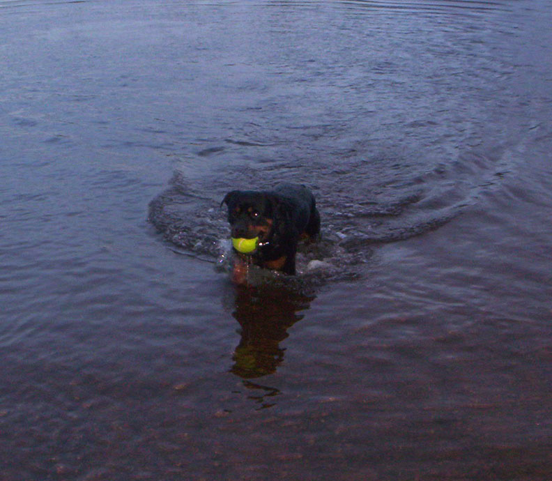 Swimming