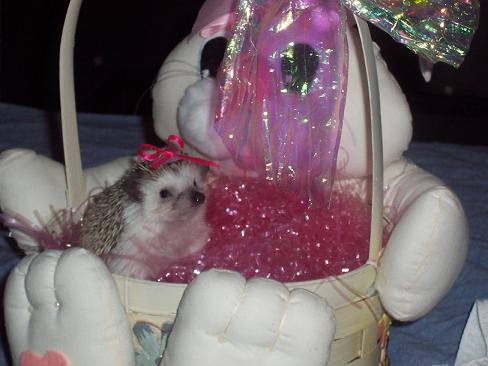 easter