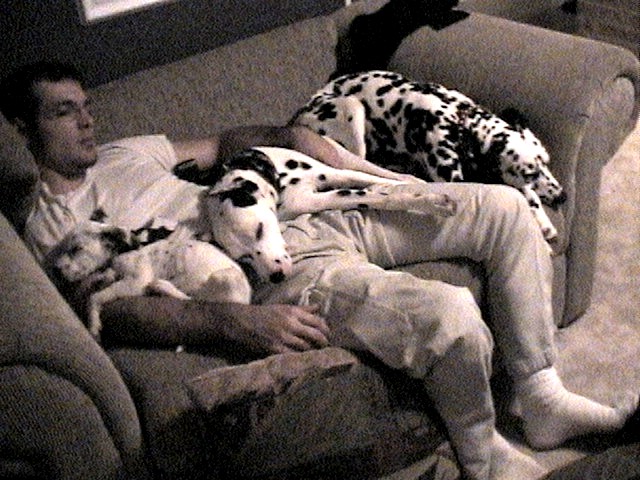 Daddys Babies