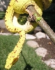 closeup