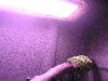 Inside with light
