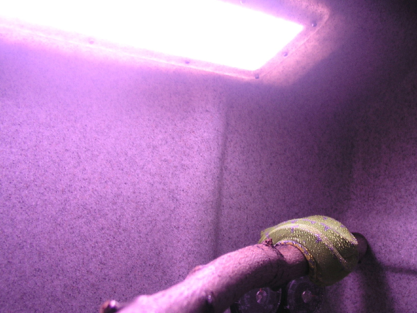 Inside with light