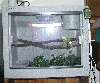 Overall view of cage