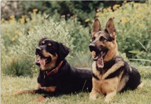 Kaos and Murphy