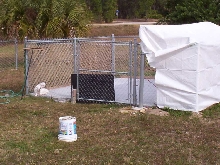 kennel