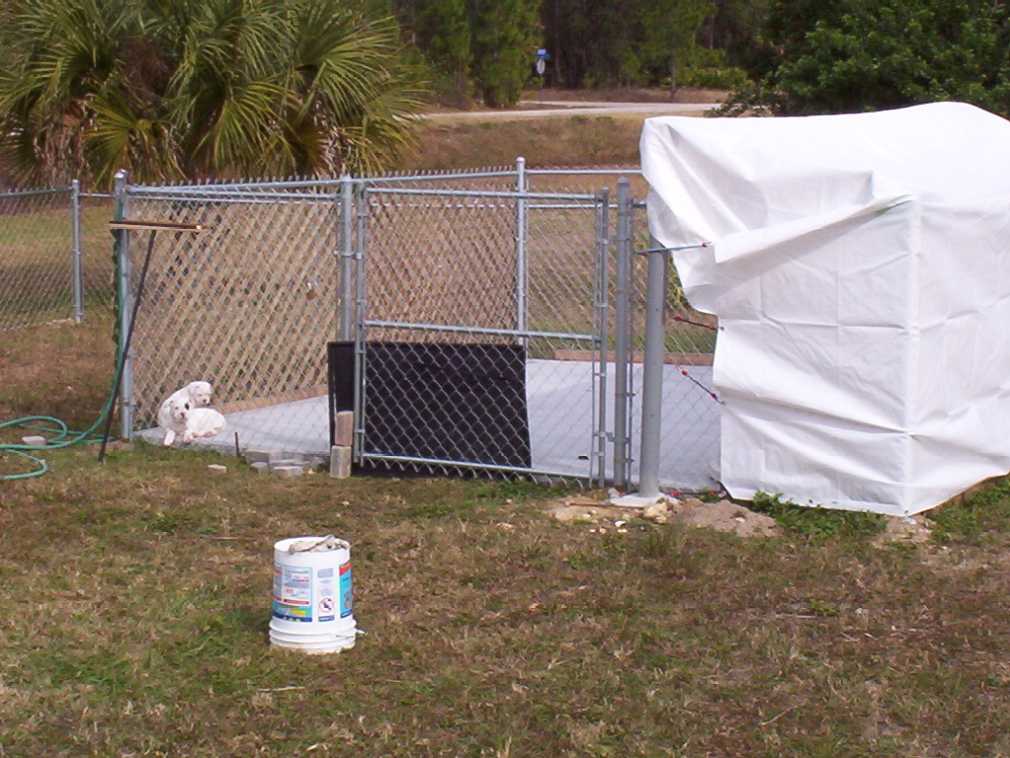 kennel