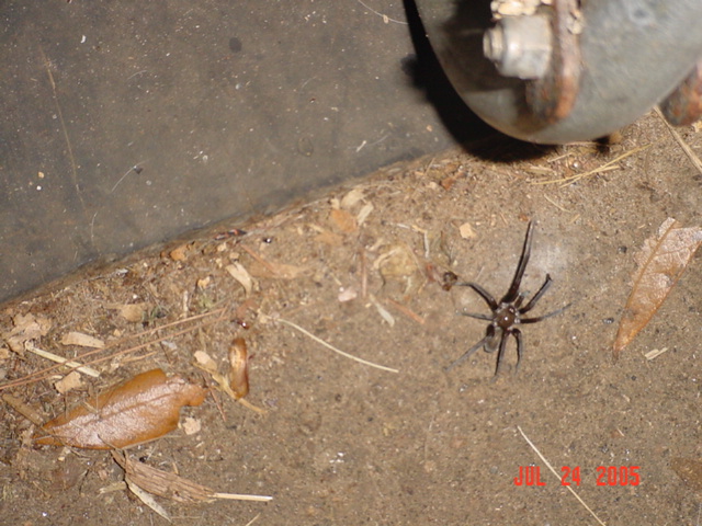 Heres another Fine Friend of mine!