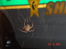 HOLY CRAP!!