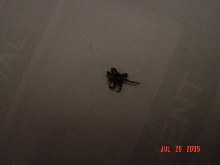 Picture #2 of 2...any ideas?