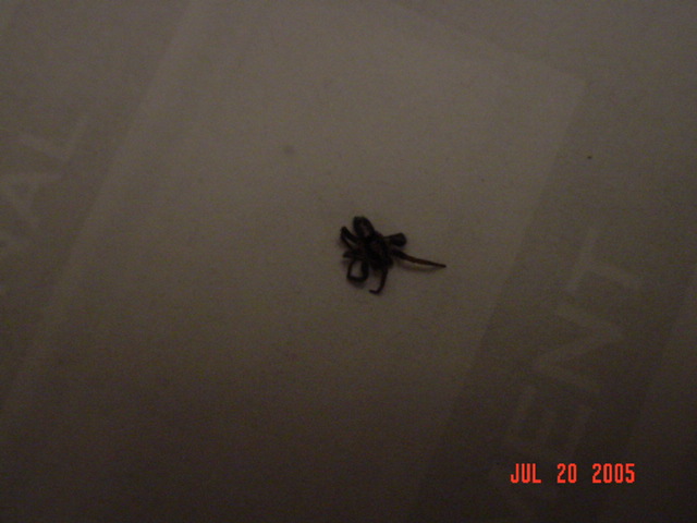 Picture #2 of 2...any ideas?