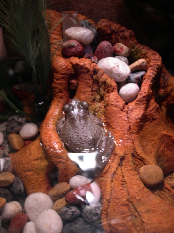 Cuban/water feature