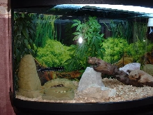 Barney's Tank