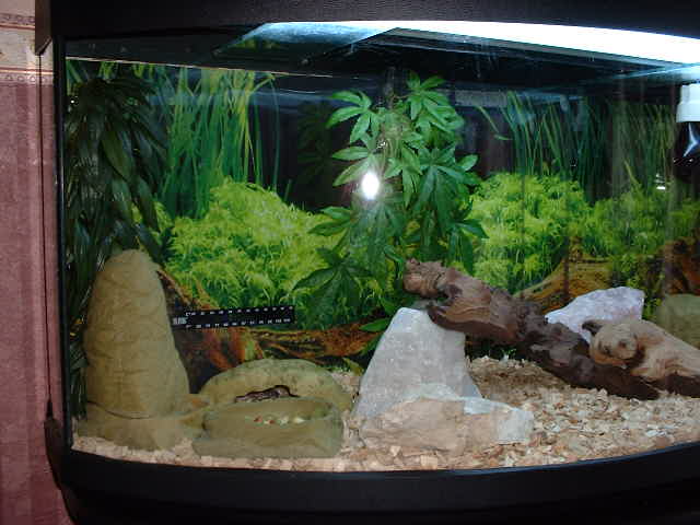 Barney's Tank