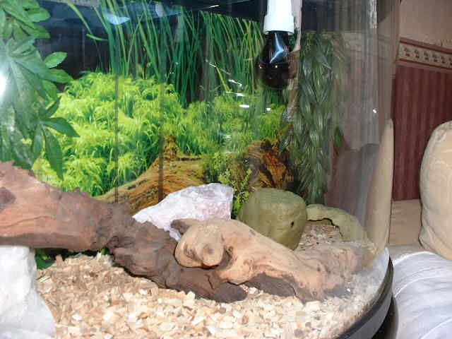 Barney's tank 3