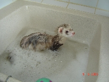 kiki's bath