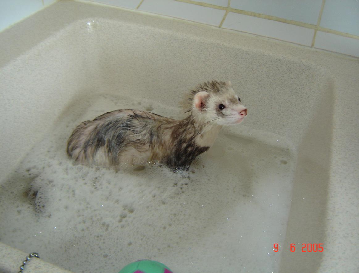 kiki's bath