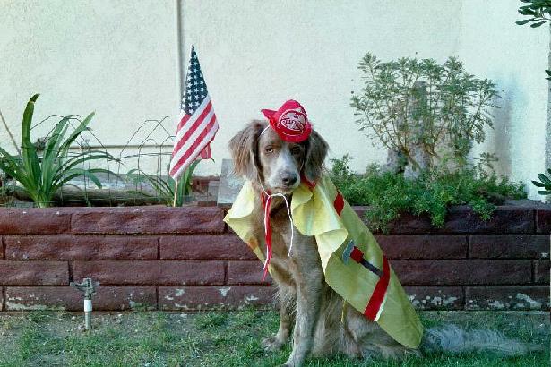 Fire Chief "Hairy"