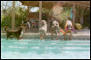 Our Swim Team!