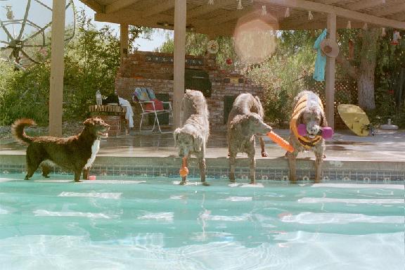 Our Swim Team!