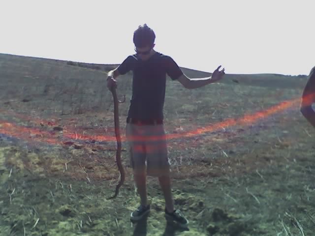 6ft SD Gopher