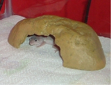 In Cave