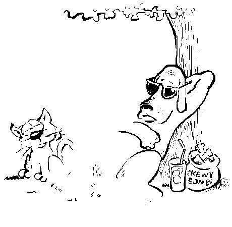 dog funny