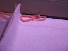 06 Leucistic Eastern Garter