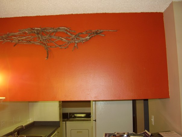 Another view of the wall with Kingsnake Orange paint on it