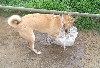 Splashin' Around