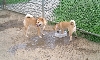 Kita & Mojo Water