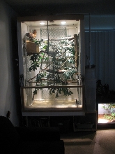 TreeMonitor Enclosure