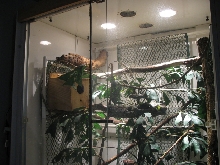TreeMonitor Enclosure