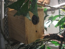 TreeMonitor Enclosure