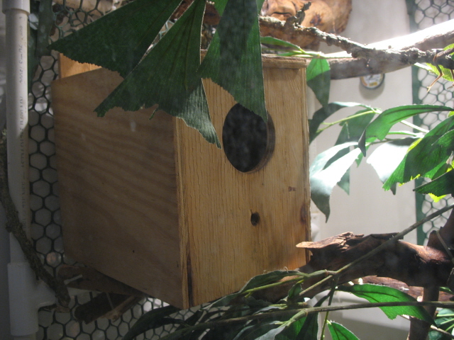 TreeMonitor Enclosure