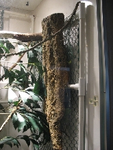TreeMonitor Enclosure