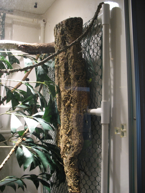 TreeMonitor Enclosure