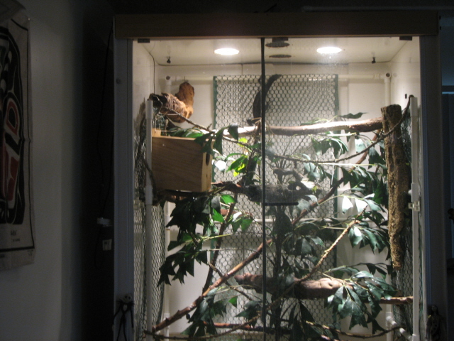 TreeMonitor Enclosure