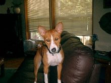 Josie