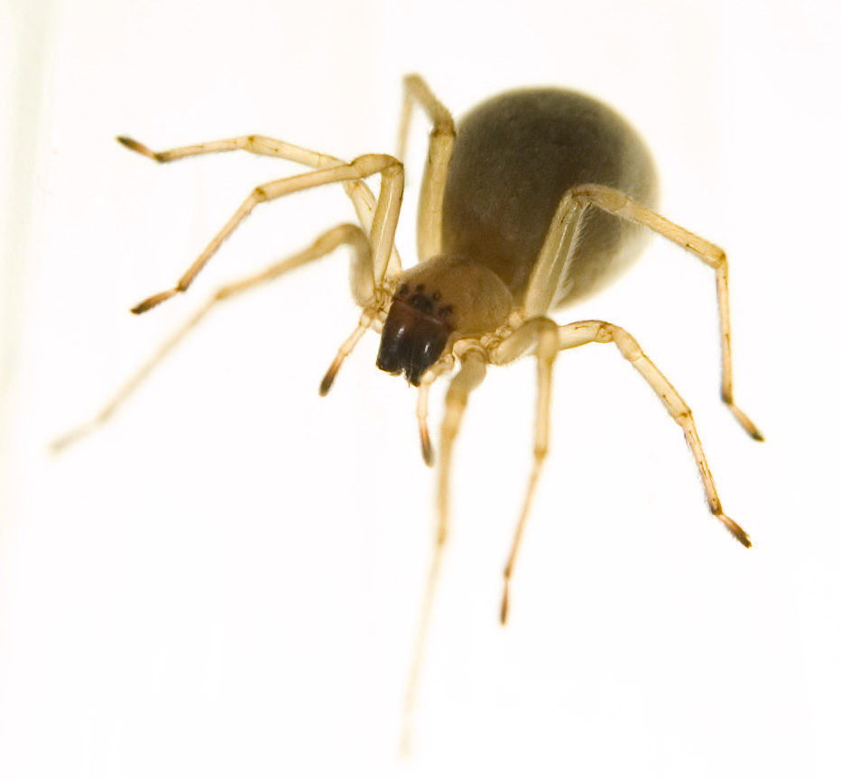 Its a female, but what?