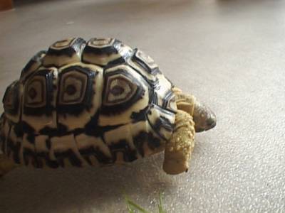 a side view