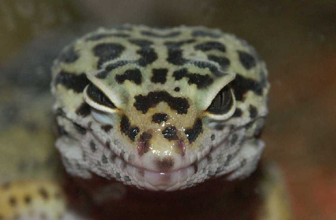 smile please