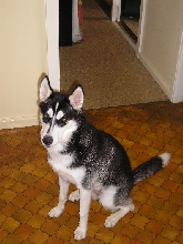 Kyra at 6months