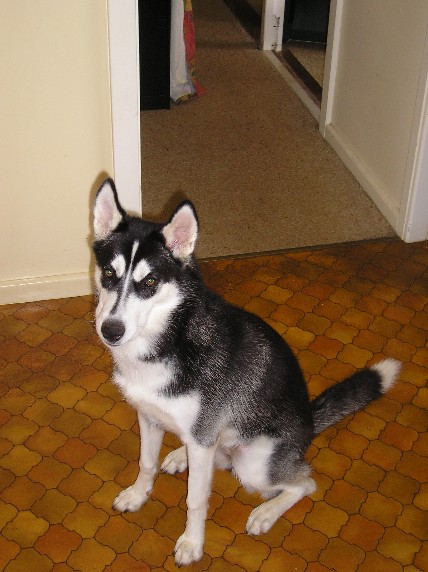Kyra at 6months