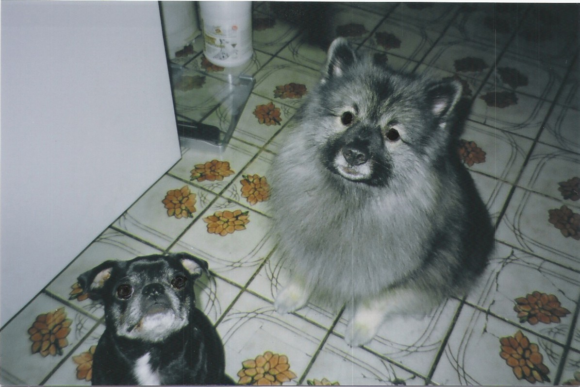 Beggars, Ghost and Leo